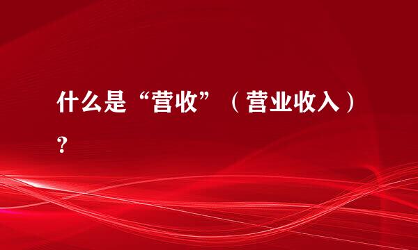 什么是“营收”（营业收入）？