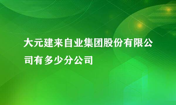 大元建来自业集团股份有限公司有多少分公司