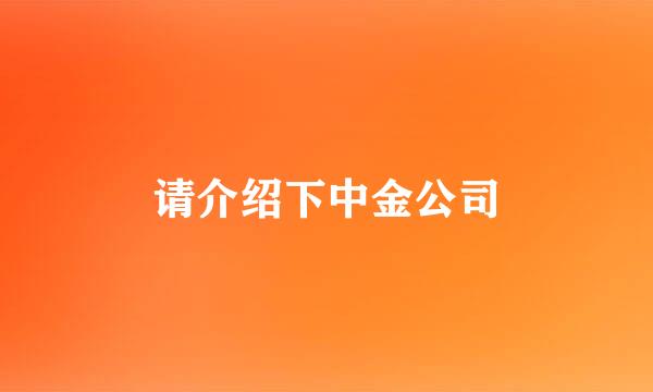 请介绍下中金公司