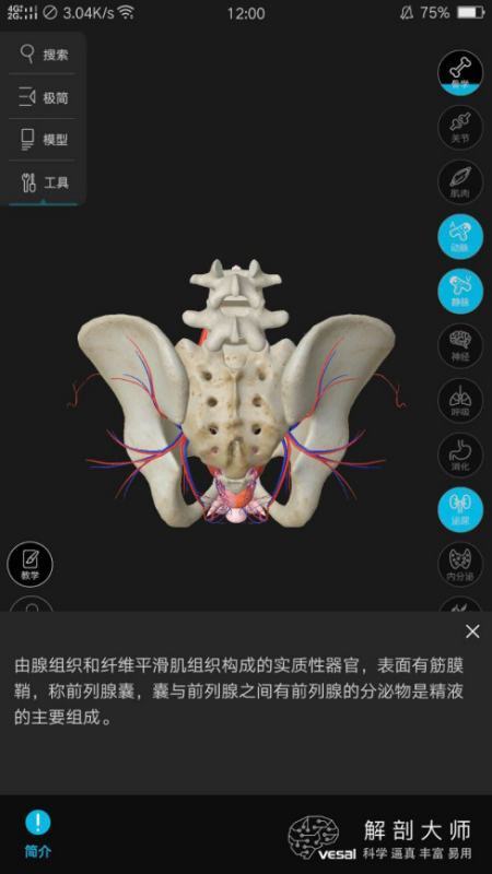 人体解剖3D图网址