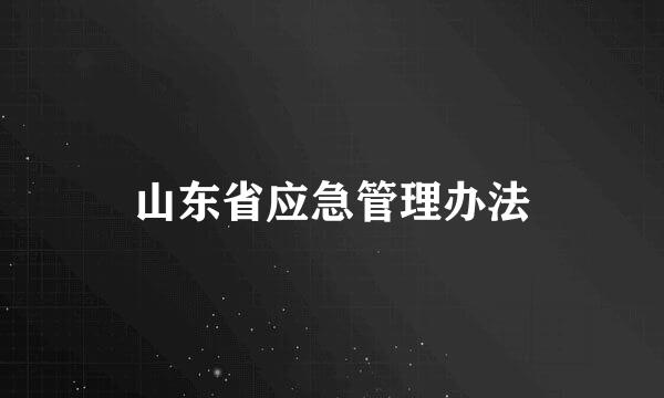 山东省应急管理办法