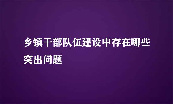 乡镇干部队伍建设中存在哪些突出问题