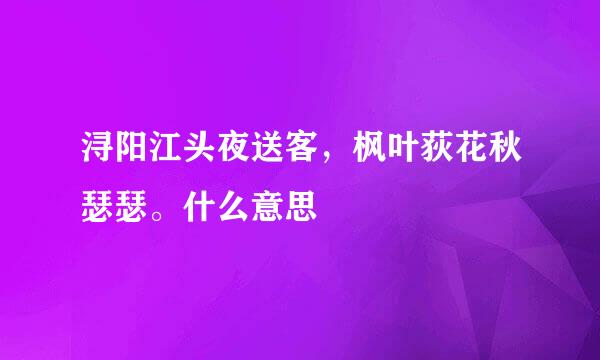 浔阳江头夜送客，枫叶荻花秋瑟瑟。什么意思