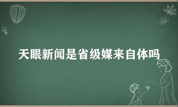 天眼新闻是省级媒来自体吗