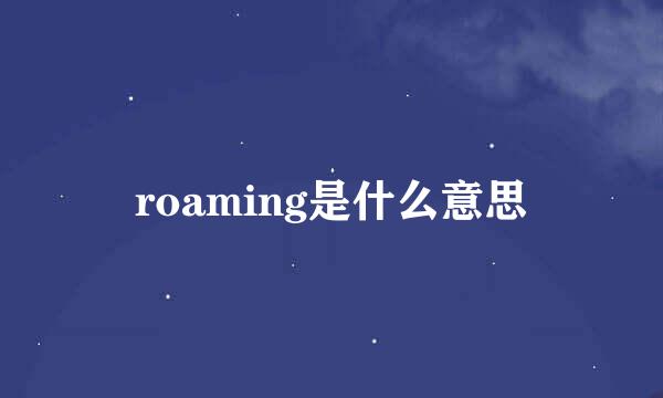 roaming是什么意思