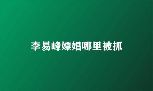 李易峰嫖娼哪里被抓