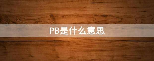 PB是头心宗乱陆析什么意思