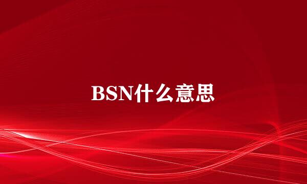 BSN什么意思