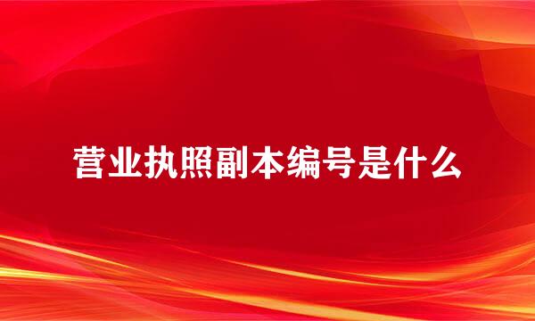 营业执照副本编号是什么