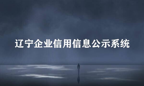 辽宁企业信用信息公示系统