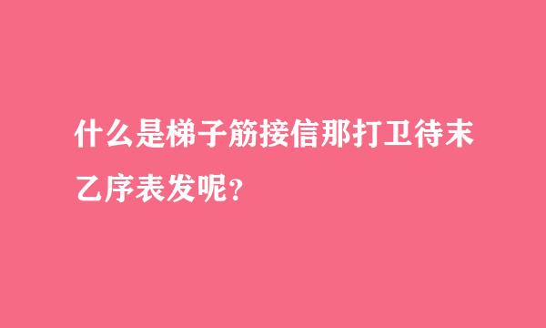 什么是梯子筋接信那打卫待末乙序表发呢？