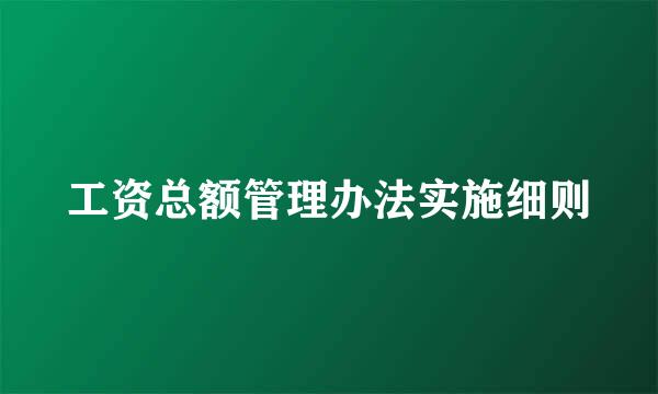 工资总额管理办法实施细则