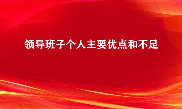 领导班子个人主要优点和不足