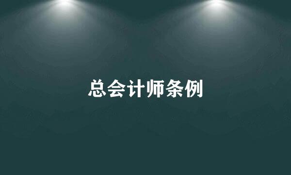 总会计师条例