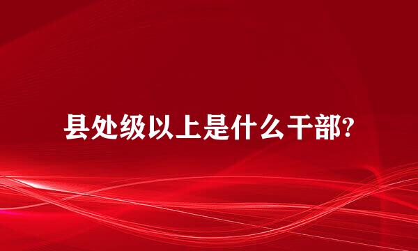 县处级以上是什么干部?