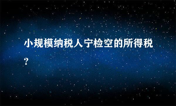 小规模纳税人宁检空的所得税？