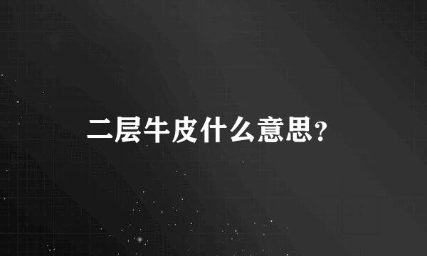 二层牛皮什么意思？