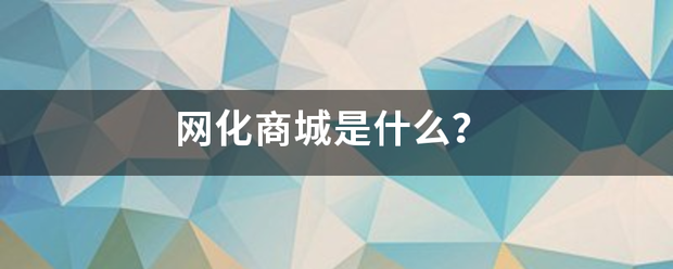 网化商城是什么？