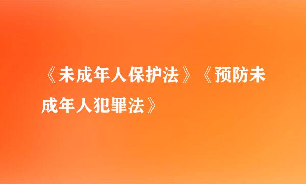 《未成年人保护法》《预防未成年人犯罪法》