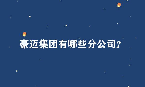 豪迈集团有哪些分公司？