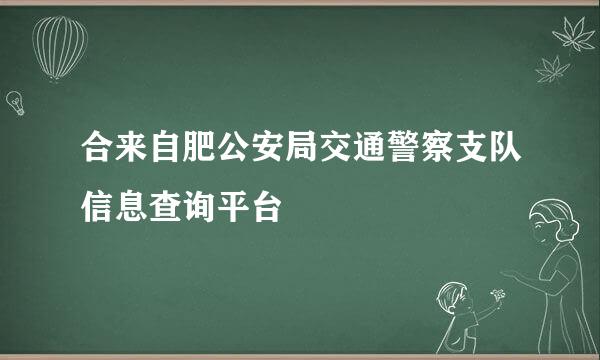 合来自肥公安局交通警察支队信息查询平台