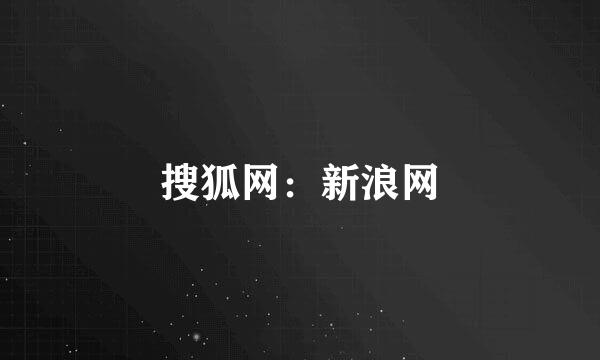 搜狐网：新浪网