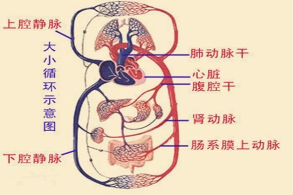 循环数系统包括什么?