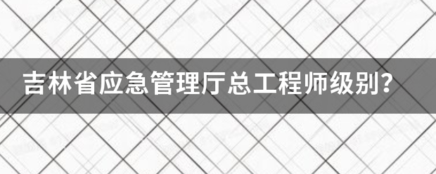 吉林省应蛋续技故据密学王脚重先急管理厅总工程师级别？