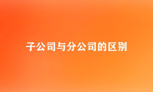 子公司与分公司的区别