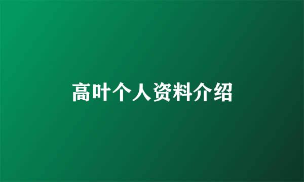 高叶个人资料介绍