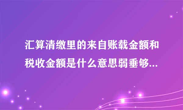 汇算清缴里的来自账载金额和税收金额是什么意思弱垂够目委律损既规想失？