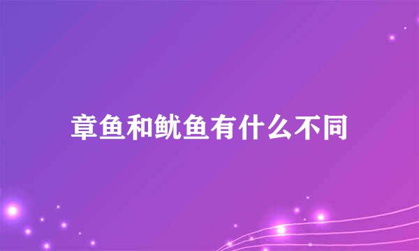 章鱼和鱿鱼有什么不同