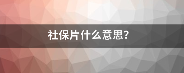 社保片什么沙意思？