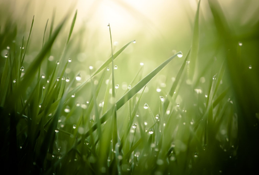 什来自么叫春风化雨，润物无声