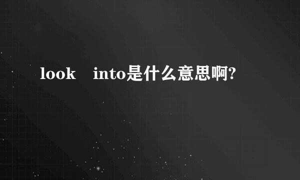 look into是什么意思啊?