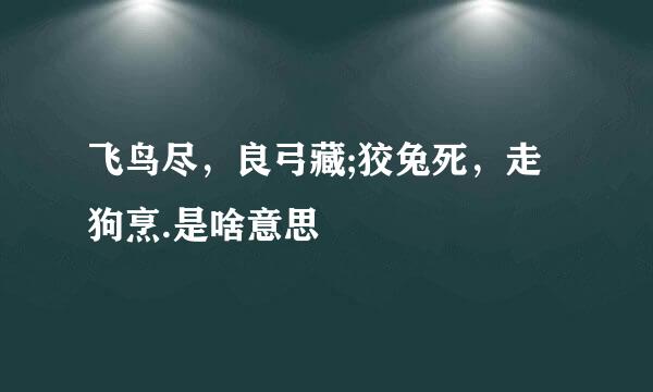 飞鸟尽，良弓藏;狡兔死，走狗烹.是啥意思