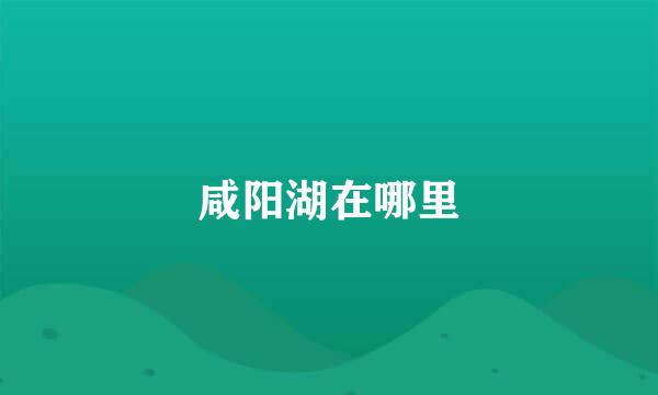 咸阳湖在哪里