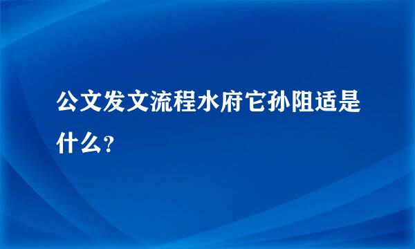 公文发文流程水府它孙阻适是什么？