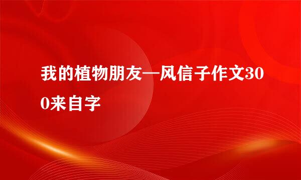 我的植物朋友—风信子作文300来自字