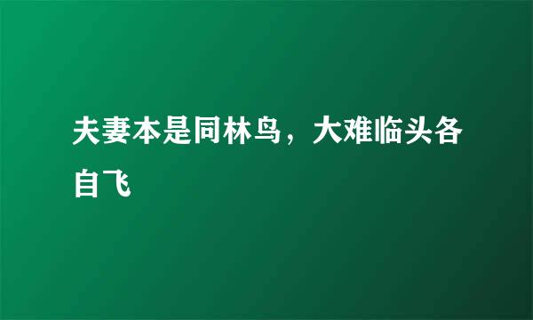 夫妻本是同林鸟，大难临头各自飞