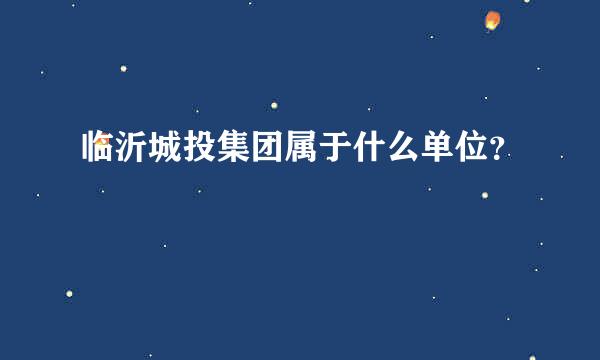 临沂城投集团属于什么单位？