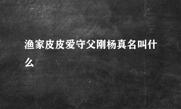 渔家皮皮爱守父刚杨真名叫什么