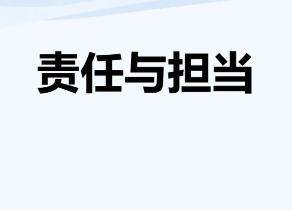 担当作为方面存在的问题及来自整改措施