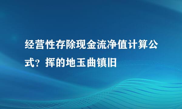 经营性存除现金流净值计算公式？挥的地玉曲镇旧