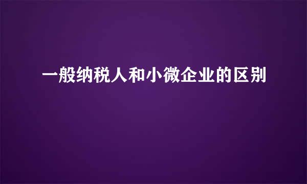 一般纳税人和小微企业的区别