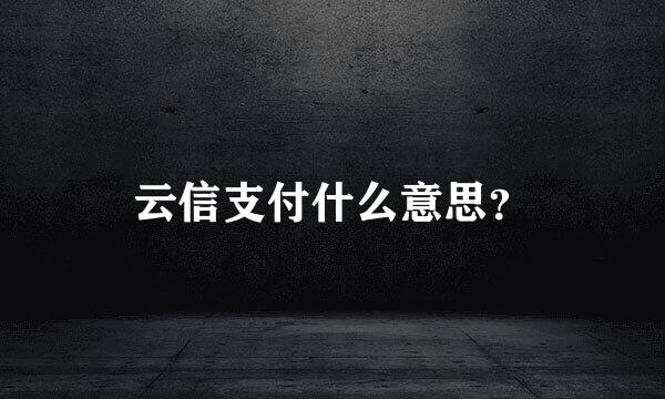 云信支付什么意思？