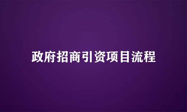 政府招商引资项目流程