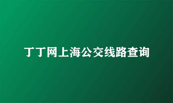 丁丁网上海公交线路查询