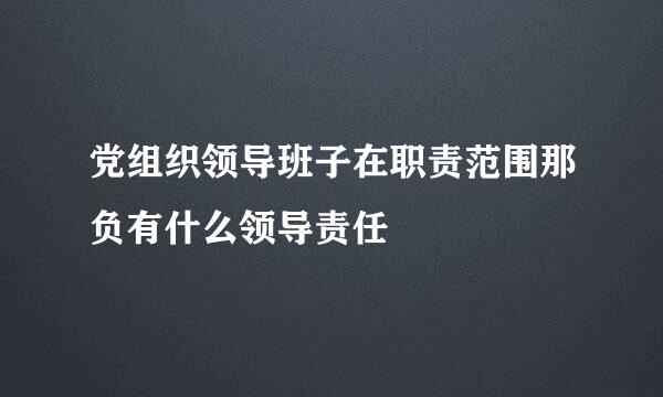 党组织领导班子在职责范围那负有什么领导责任