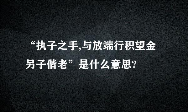 “执子之手,与放端行积望金另子偕老”是什么意思?